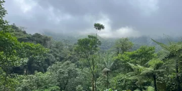 La Costa Rica è pericolosa? Ecco una testimonianza diretta