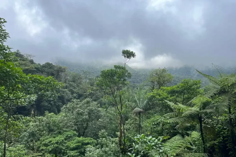 ¿Es peligrosa Costa Rica?