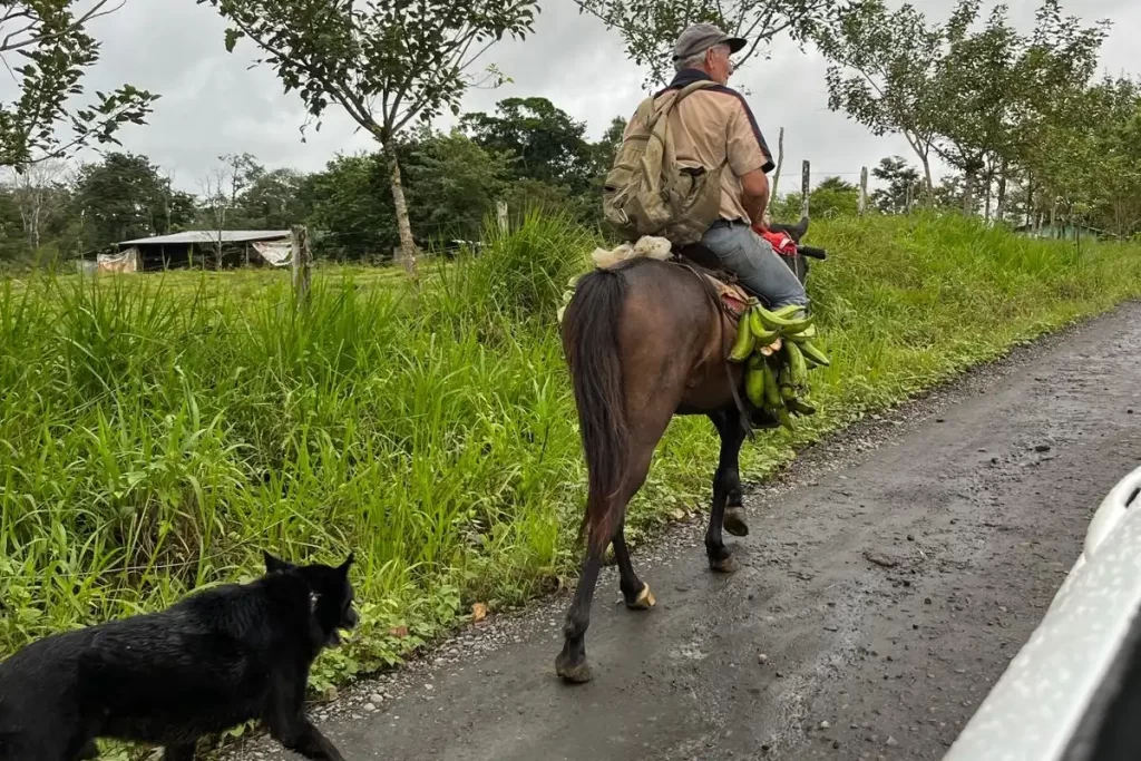 La Costa Rica è pericolosa? Sicurezza stradale in Costa Rica