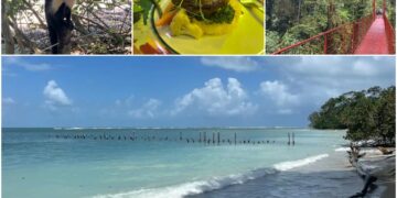 Cosa Vedere in Costa Rica 2024