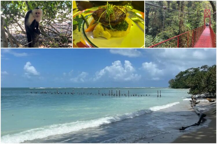 Cosa Vedere in Costa Rica 2024