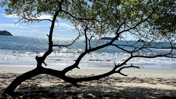 Costa Rica en 15 días